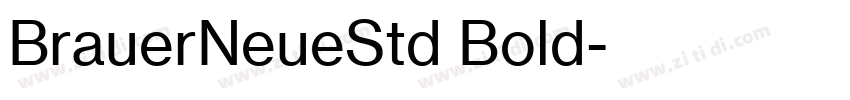 BrauerNeueStd Bold字体转换